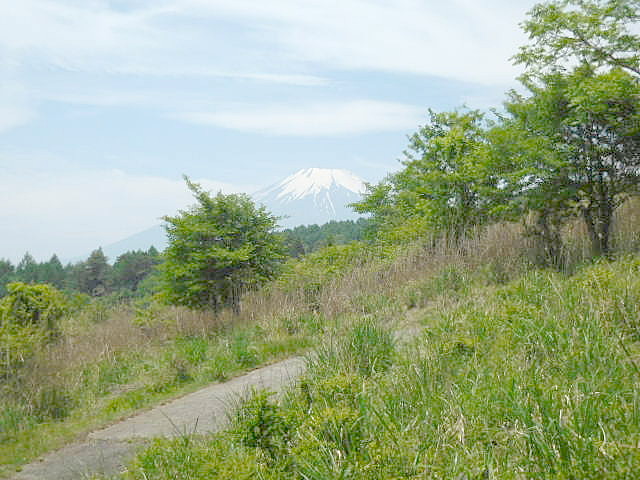 敷地内より富士山眺望可(実際は画像より大きく見えます)
